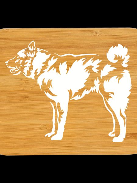 Norwegian Elkhound "Black Edition"
