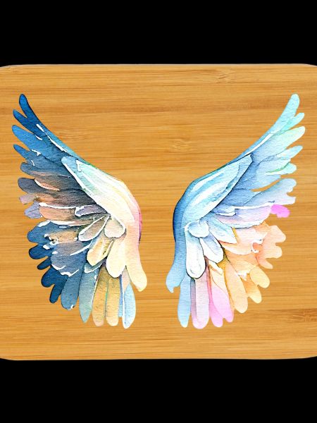 Ailes d'Ange Pastel Angelwings