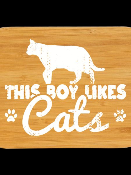 This boy likes cats
