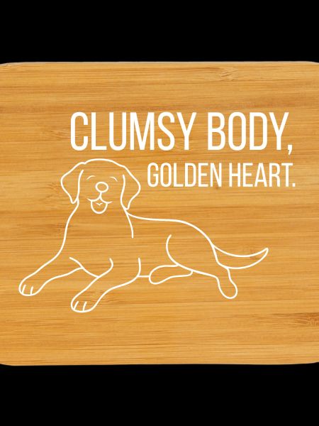 Labrador with humor