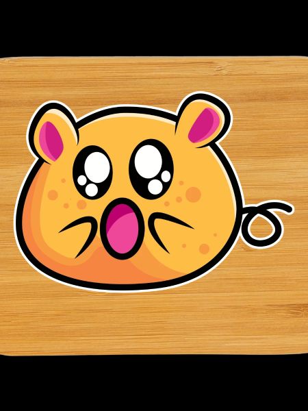 Drôle de souris