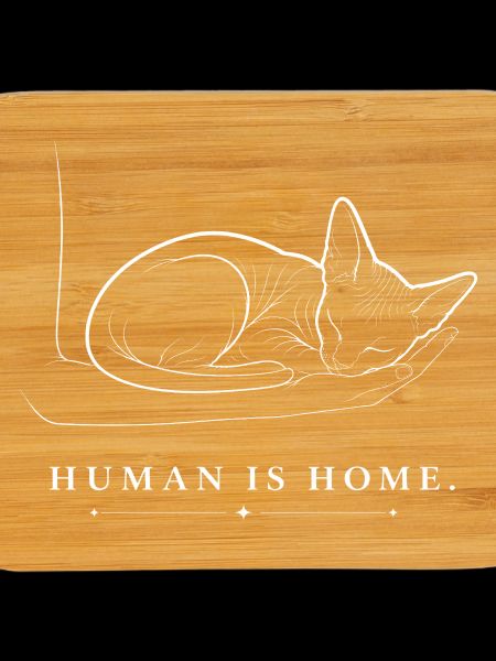 Sphynx Cat – Human Is Home