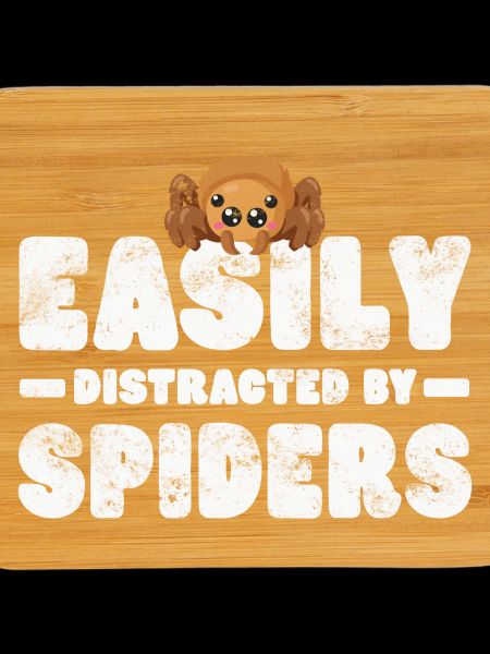 Spider Tarantula
