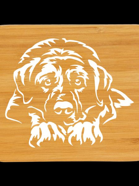 Kangal "Black Edition"