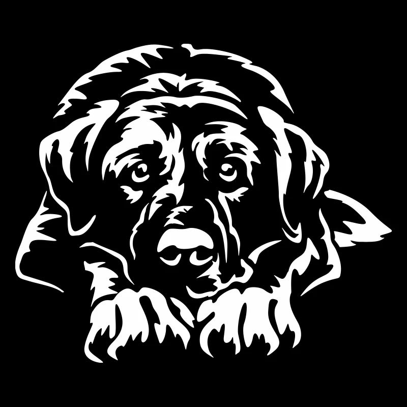 Kangal "Black Edition"