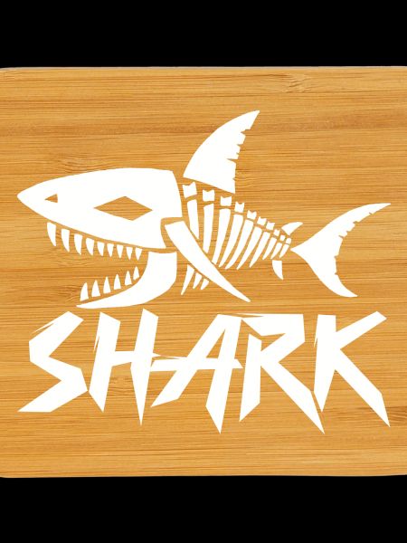 Shark skeleton