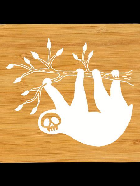 White Sloth Skull