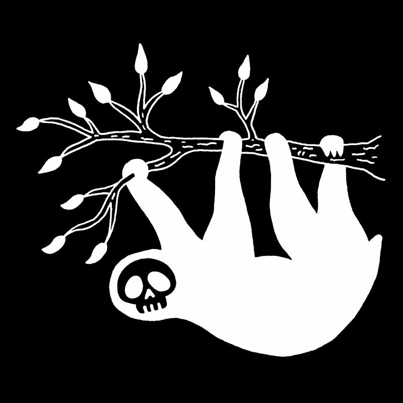White Sloth Skull