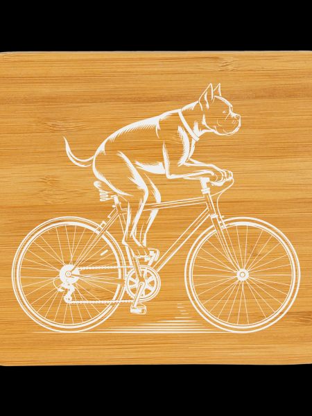 Boxer Dog Driving Bicycle