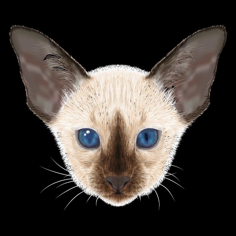 Siamkatze 