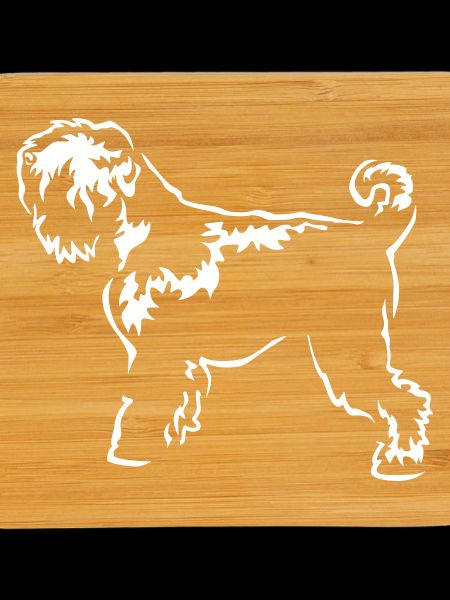 Russian Terrier "Black Edition"