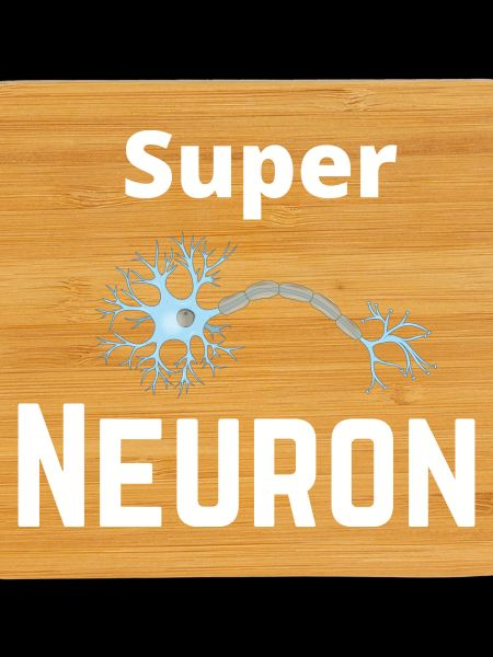 Super Neuron Network