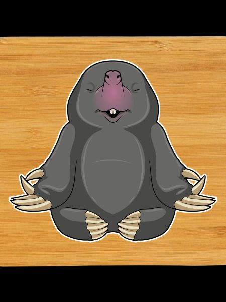 Mole Yoga Fitness Méditation