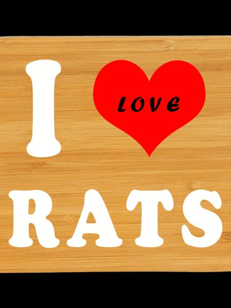 Ich liebe Ratten