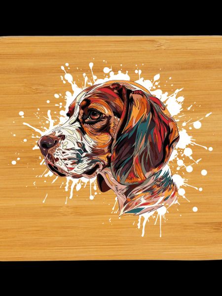 Beagle Farbexplosion