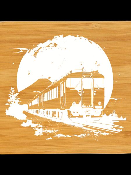Train Lover Drawing