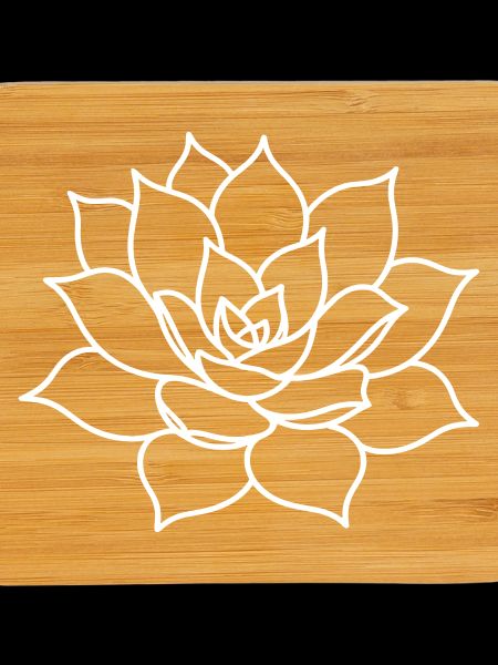 Succulent Rosette Line Art