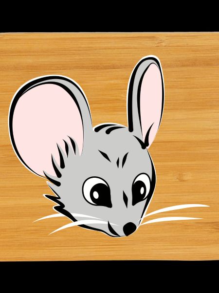 Mouse head