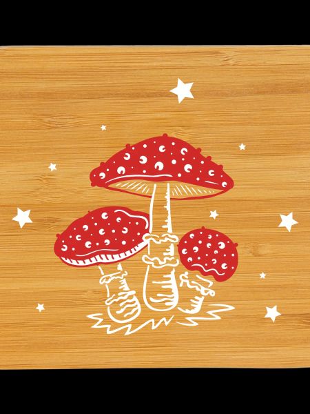 Mushroom mushrooms toadstools Amanita
