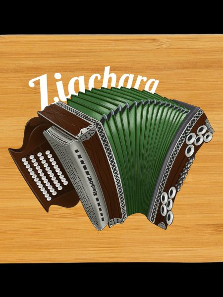 Ziachara // light | ZiachON!