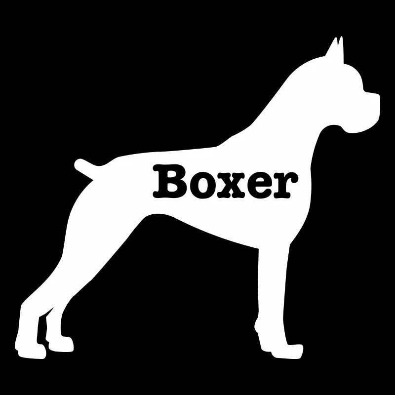 Boxeur