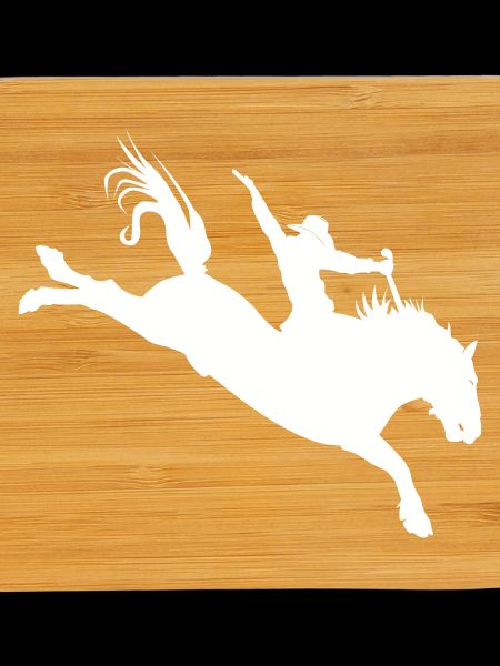 Rodeo Silhouette – Western Riding