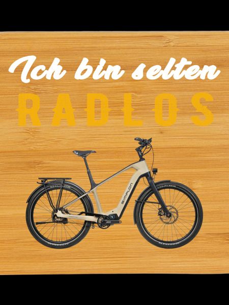 Wheelless E-Bike Contrast