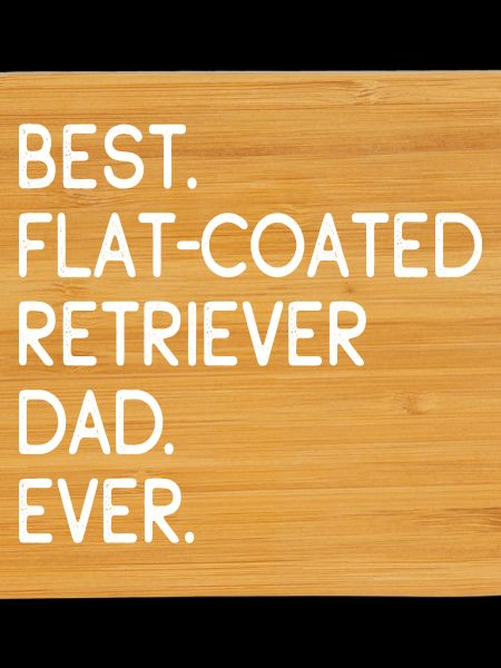 Flat-Coated Retriever
