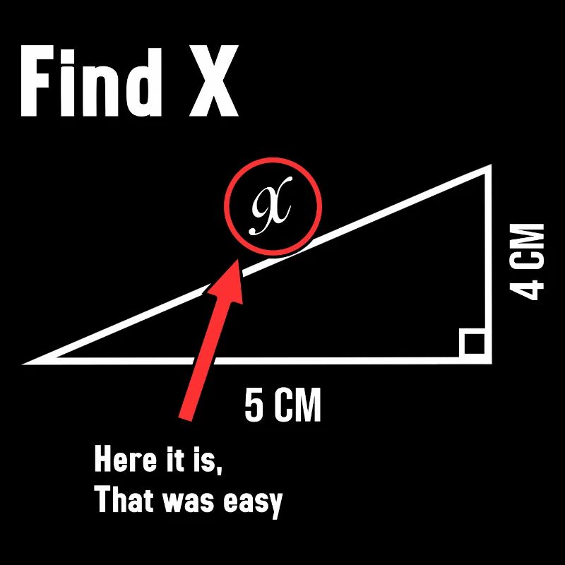 Find X Math Lover Mathematician Math Teacher
