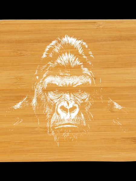 Gorilla