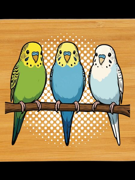 Budgerigars Budgie Owners Budgies