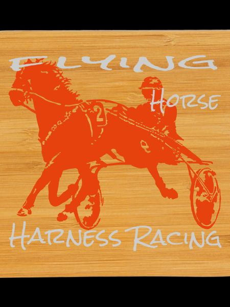 Trotter trotting race