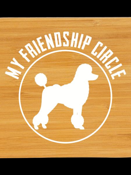 Caniche Mon Cercle d’Amitié
