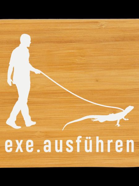 Exe Ausführen Informatiker