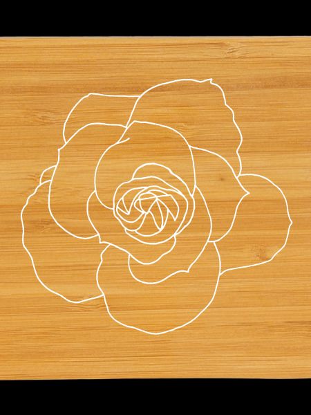 Rose blanche