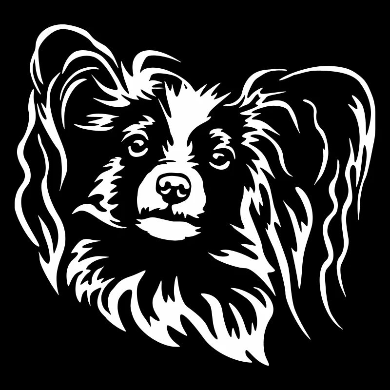 Papillon Kopf "Black Edition"