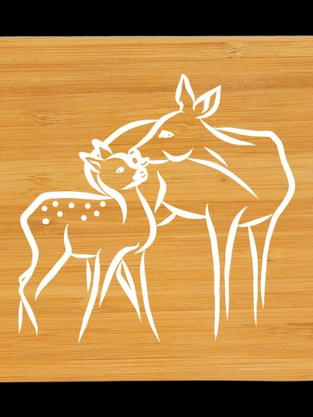 Roe deer with fawn