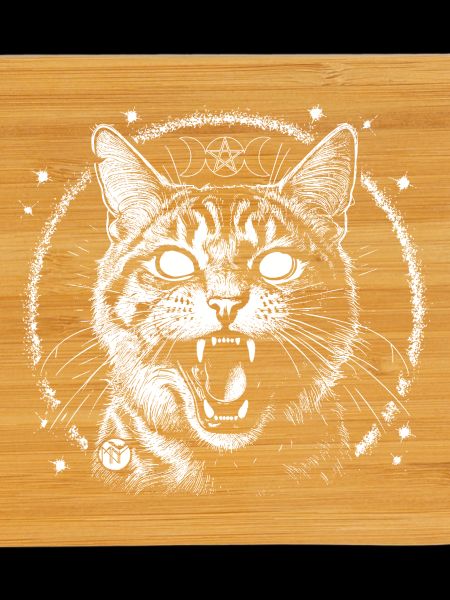 Bewitched Tabby