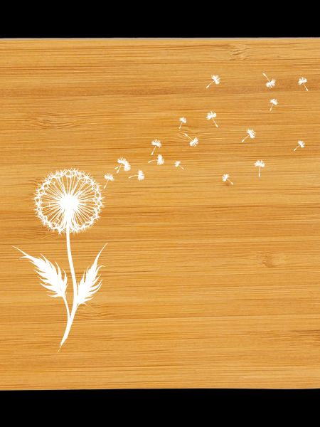 Dandelion Seed Silhouette