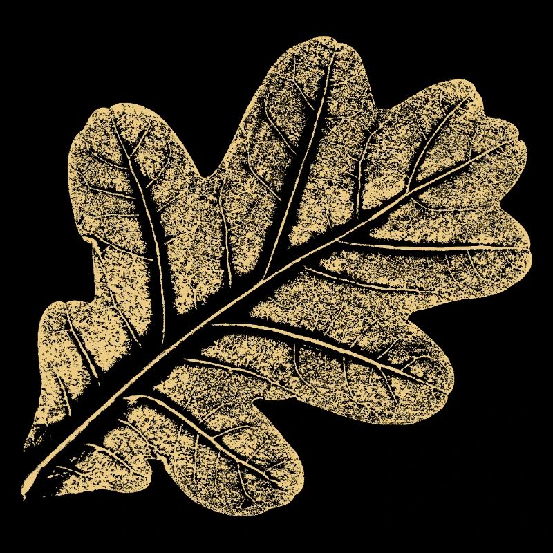 Leaf Oak / Oak Leaf - Nature Design