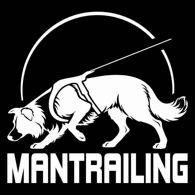 Border Collie Mantrailing Hundesport Hund Wilsigns
