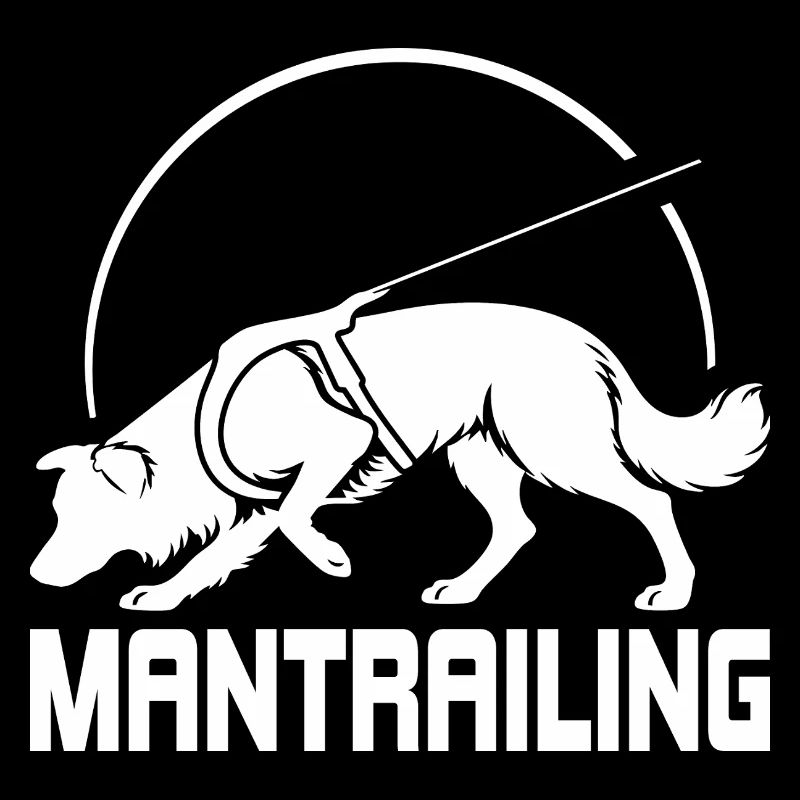 Border Collie Mantrailing Hundesport Hund Wilsigns