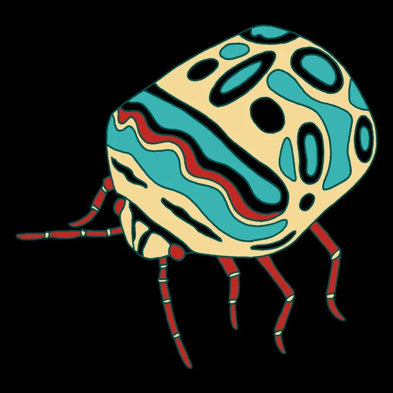 Multicolored insect