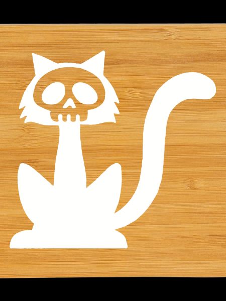 White Cat Skull