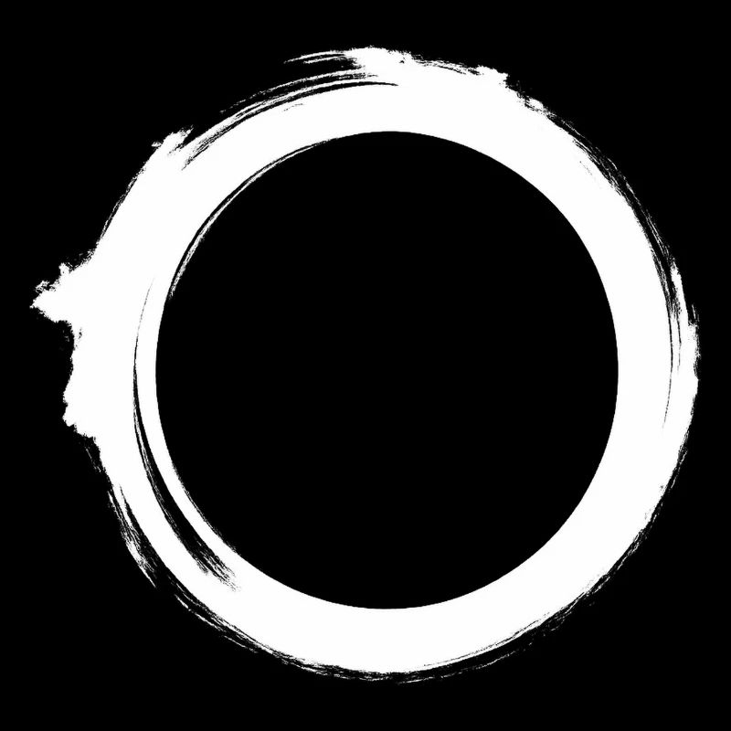 Black Hole Universe Silhouette Minimal Physics