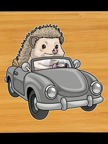 Voiture hérisson