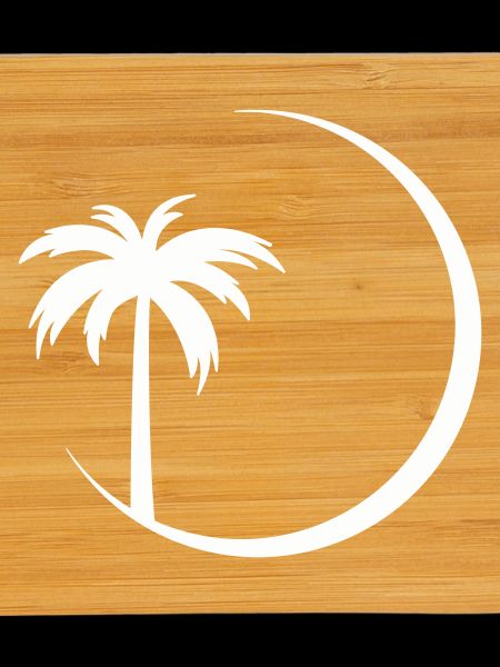 Palm tree in circle silhouette