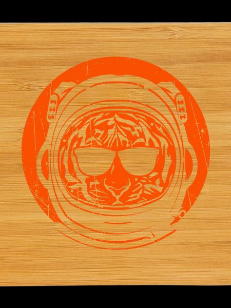 Tigre astronaute
