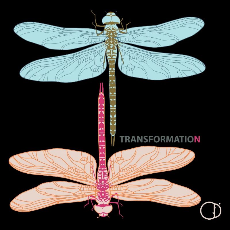 Libellen und Transformation by CD