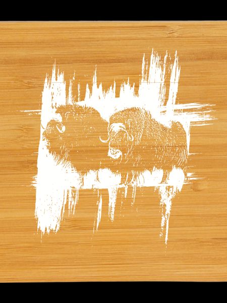 Les Bisons